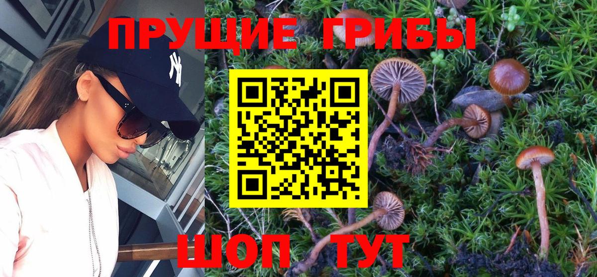 купить наркоту  Псилоцибиновые грибы прущие грибы  Вход с VPN  Топки 