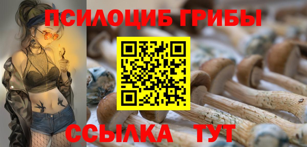 Галлюциногенные грибы Psilocybe Топки